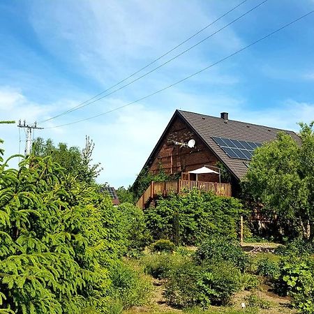 Dziewanna Lägenhet Brzeziniec Exteriör bild