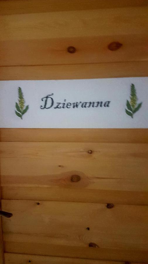 Dziewanna Lägenhet Brzeziniec Exteriör bild