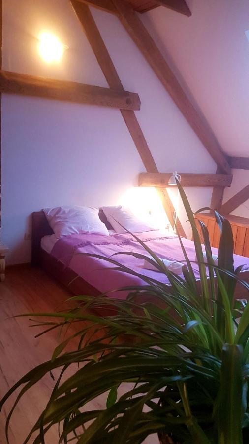 Dziewanna Lägenhet Brzeziniec Exteriör bild