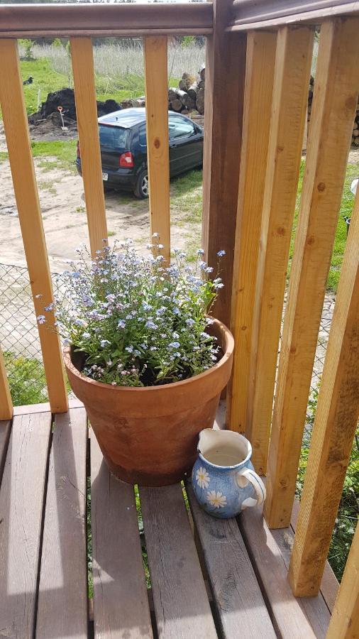 Dziewanna Lägenhet Brzeziniec Exteriör bild