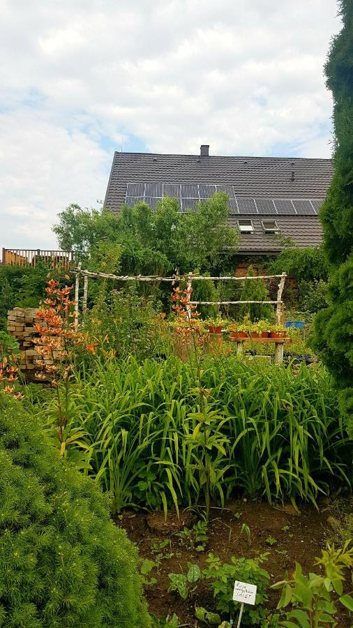 Dziewanna Lägenhet Brzeziniec Exteriör bild