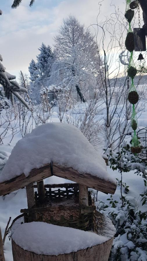Dziewanna Lägenhet Brzeziniec Exteriör bild