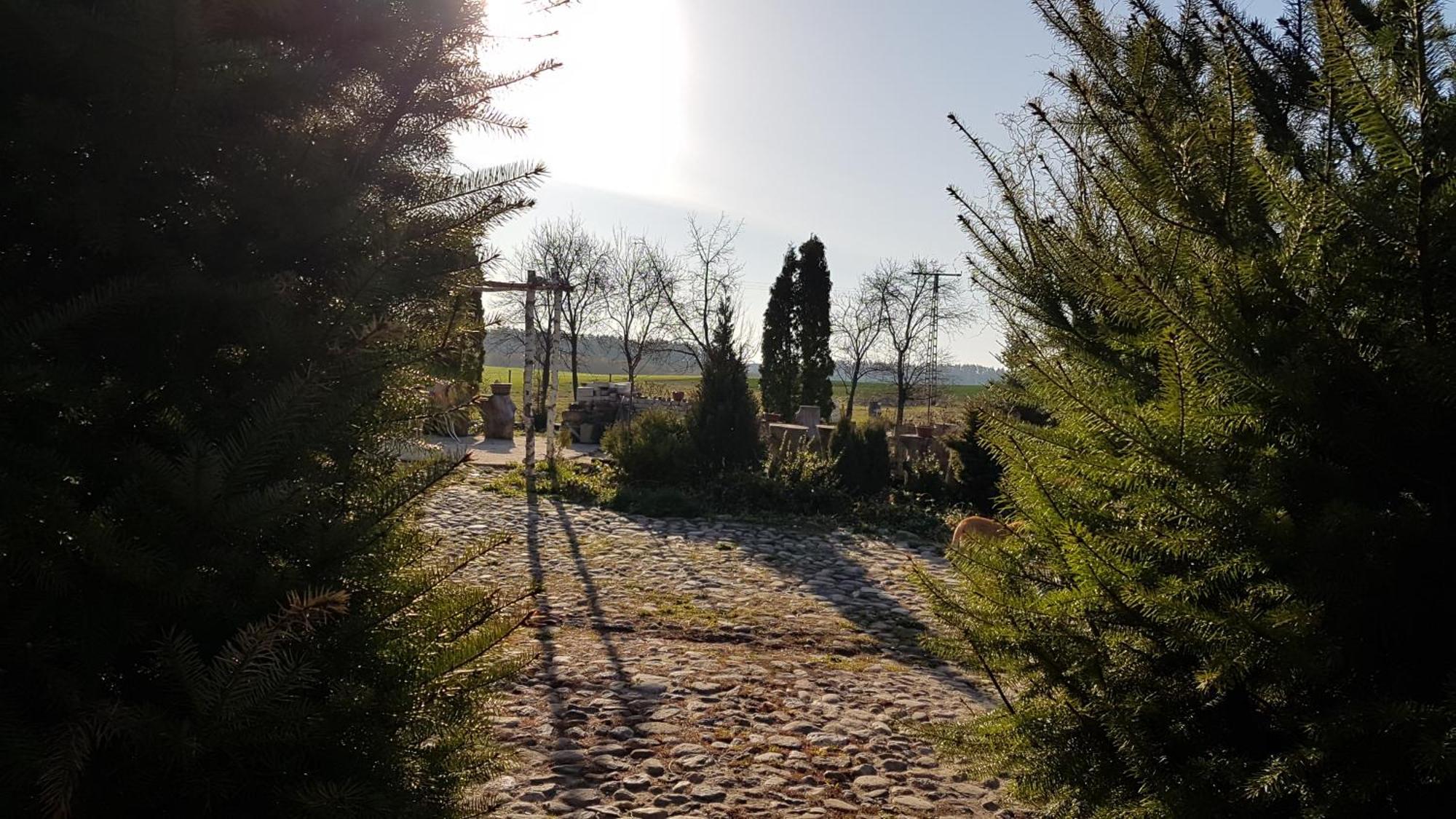 Dziewanna Lägenhet Brzeziniec Exteriör bild